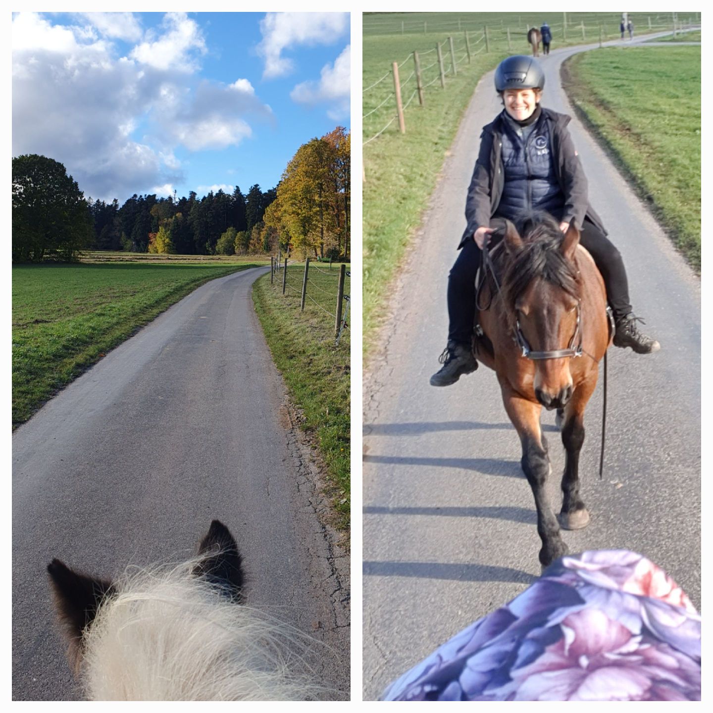 2023 11 November 579